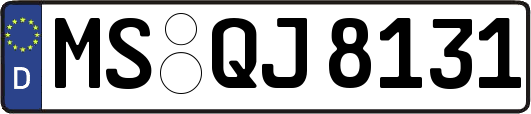 MS-QJ8131