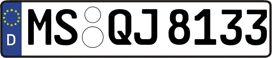 MS-QJ8133