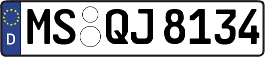 MS-QJ8134