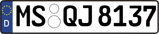 MS-QJ8137