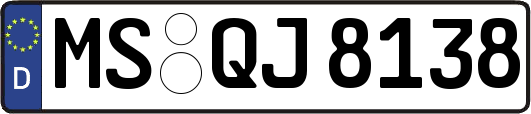 MS-QJ8138