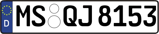 MS-QJ8153