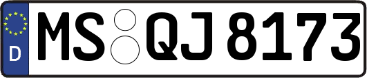 MS-QJ8173