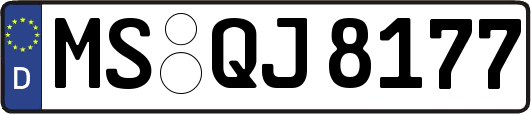 MS-QJ8177