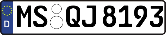 MS-QJ8193
