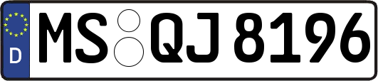 MS-QJ8196