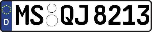 MS-QJ8213