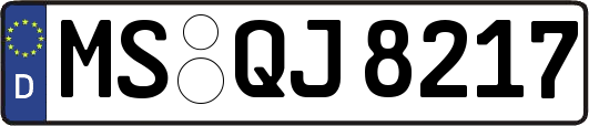 MS-QJ8217