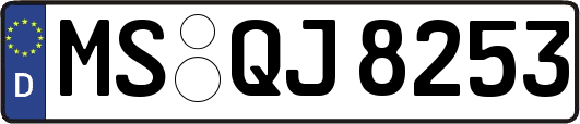 MS-QJ8253