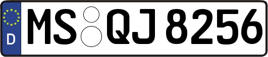 MS-QJ8256