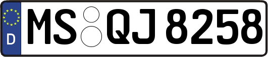 MS-QJ8258