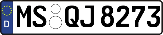 MS-QJ8273