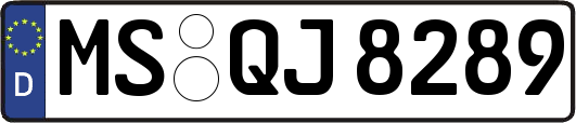 MS-QJ8289