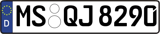 MS-QJ8290