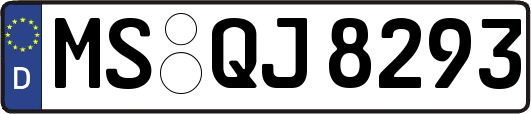 MS-QJ8293
