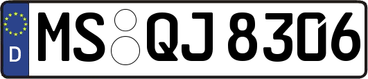 MS-QJ8306