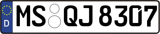 MS-QJ8307
