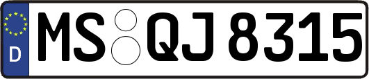 MS-QJ8315