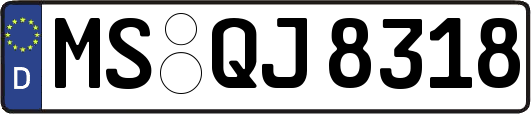 MS-QJ8318