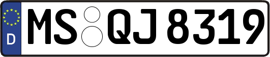 MS-QJ8319