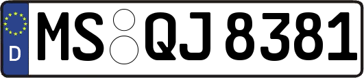 MS-QJ8381