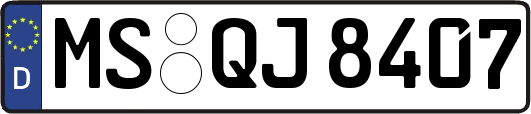 MS-QJ8407