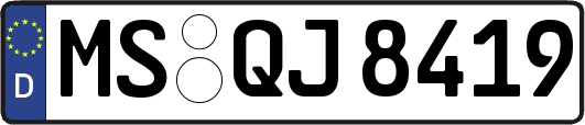 MS-QJ8419