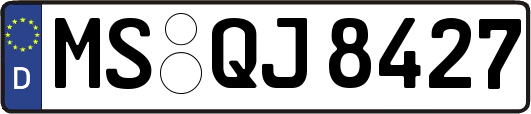 MS-QJ8427
