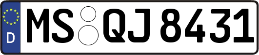MS-QJ8431