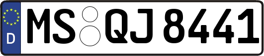 MS-QJ8441