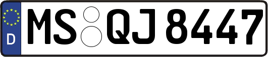 MS-QJ8447