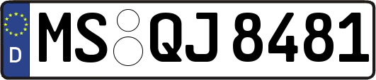MS-QJ8481