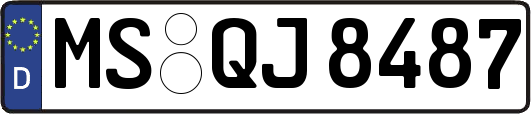 MS-QJ8487