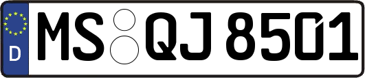 MS-QJ8501