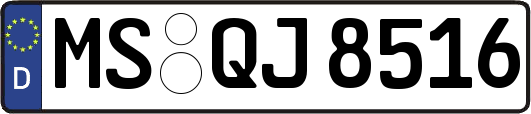 MS-QJ8516