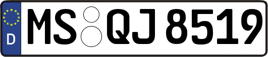MS-QJ8519