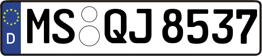MS-QJ8537