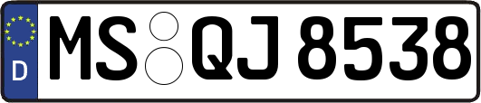MS-QJ8538