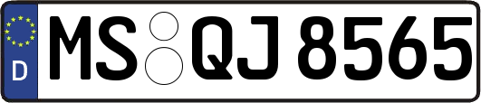 MS-QJ8565
