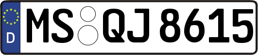 MS-QJ8615