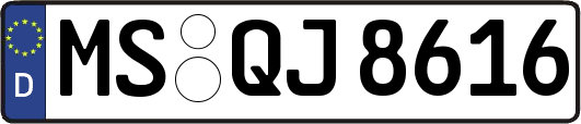 MS-QJ8616