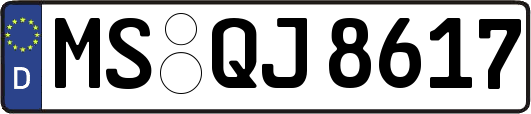 MS-QJ8617