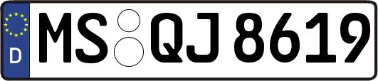 MS-QJ8619