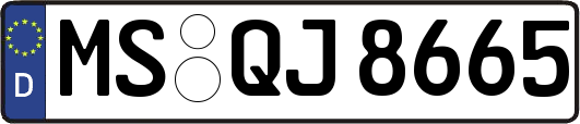 MS-QJ8665