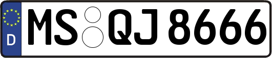 MS-QJ8666