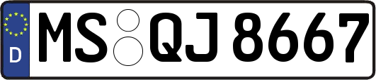 MS-QJ8667
