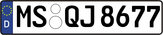 MS-QJ8677