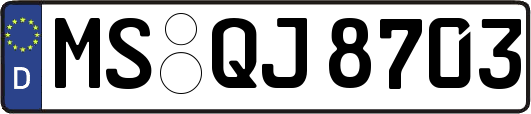 MS-QJ8703
