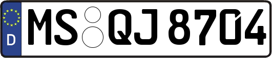 MS-QJ8704