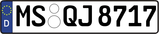 MS-QJ8717